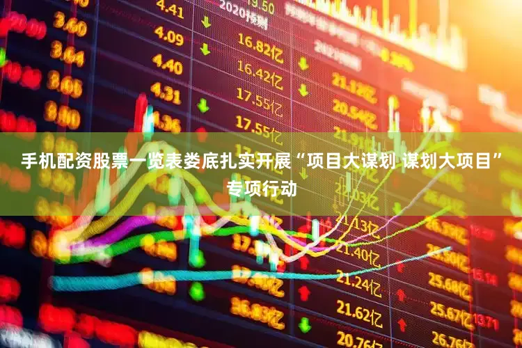 手机配资股票一览表娄底扎实开展“项目大谋划 谋划大项目”专项行动
