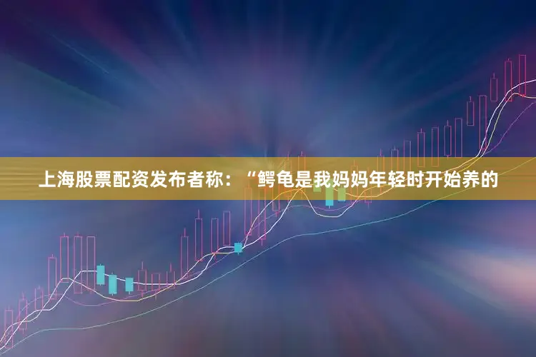 上海股票配资发布者称：“鳄龟是我妈妈年轻时开始养的