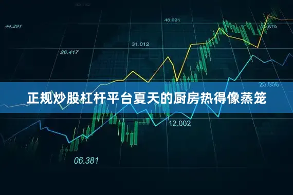 正规炒股杠杆平台夏天的厨房热得像蒸笼