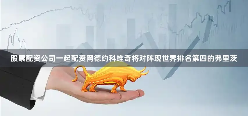 股票配资公司一起配资网德约科维奇将对阵现世界排名第四的弗里茨
