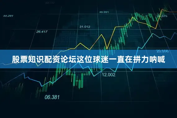 股票知识配资论坛这位球迷一直在拼力呐喊